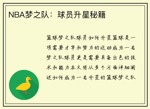 NBA梦之队：球员升星秘籍