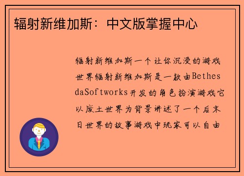 辐射新维加斯：中文版掌握中心